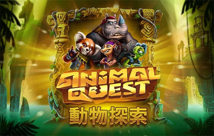 hth会体会官网app
